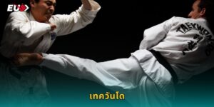 เทควันโด EU9 แทงศิลปะป้องกันตัวสุดเร้าใจ