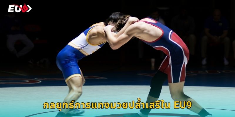 กลยุทธ์การแทงมวยปล้ำเสรีใน EU9